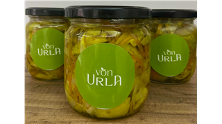 Körili Enginar